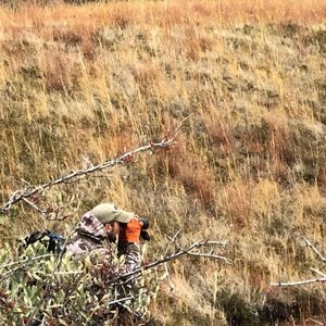 Meet your Posher, Nathan